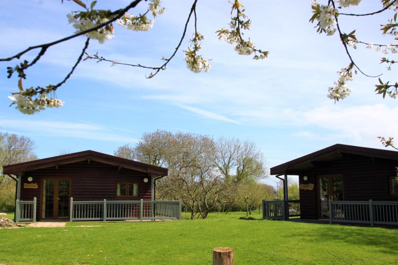 Wall Eden Farm - Luxury Log Cabins And Glamping Highbridge Exterior photo
