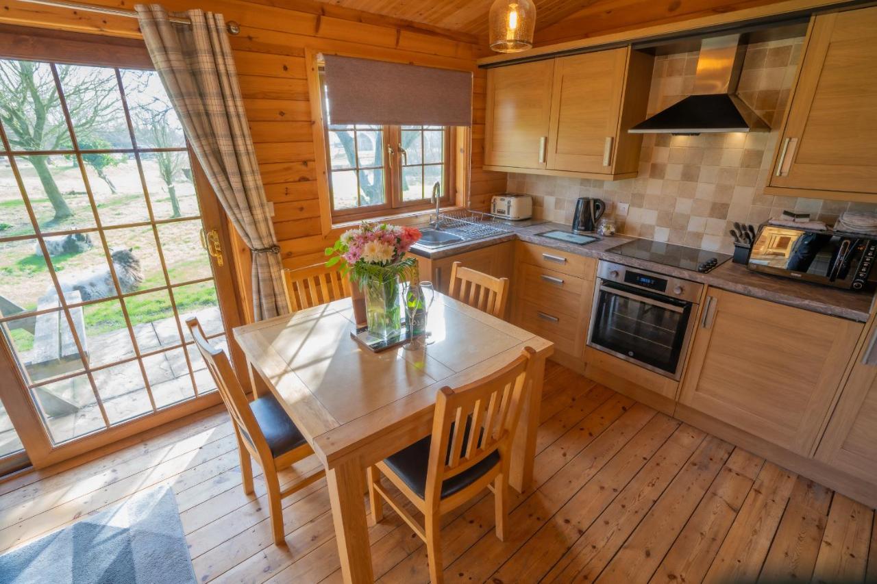 Wall Eden Farm - Luxury Log Cabins And Glamping Highbridge Exterior photo
